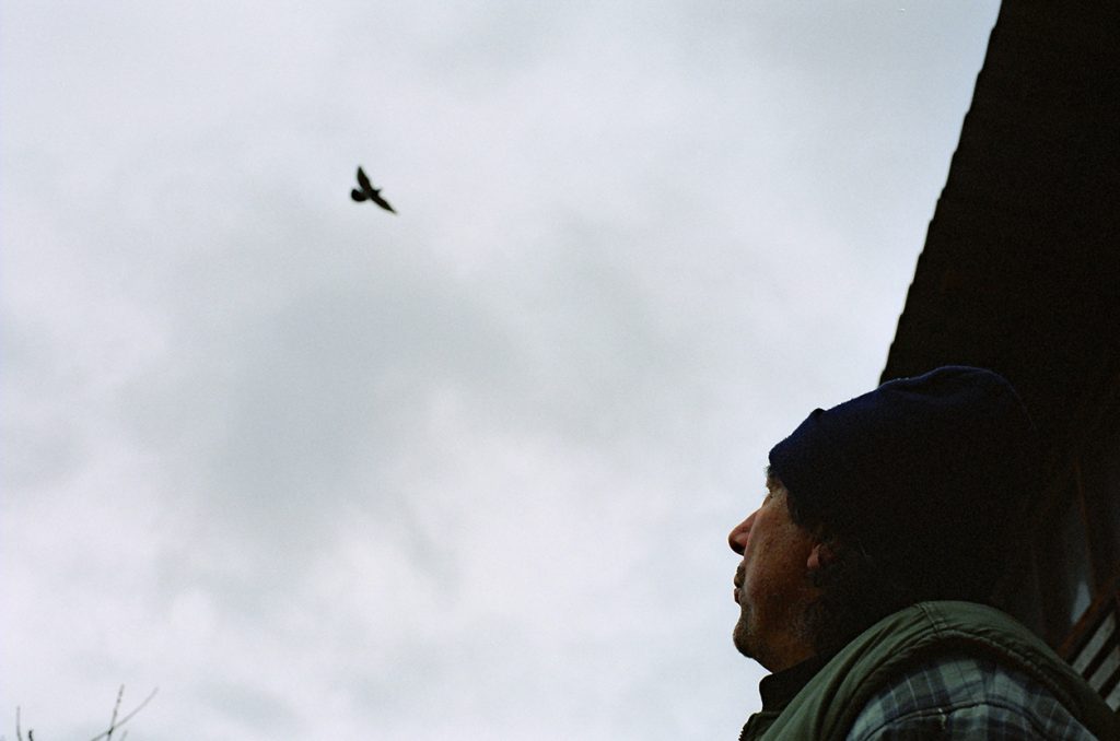 Foto di Simone Martinetto tratta dalla serie VIAGGIATORI / Photo by Simone Martinetto from " VIAGGIATORI / TRAVELERS " series; Simone Martinetto; Martinetto; Viaggiatori; colombi; piccioni viaggiatori; colombi viaggiatori; racing pigeons; pigeons; travelers; foto colombi; foto piccioni; foto piccioni viaggiatori; pigeons photo;